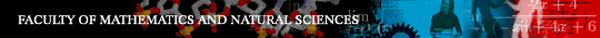 MN_Faculty_logo