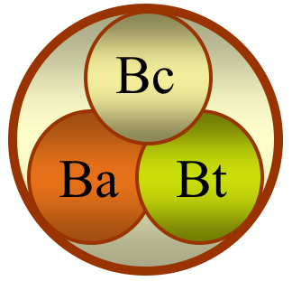 Bacillus group logo